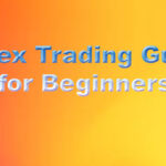 Forex Trading Guide for Beginners