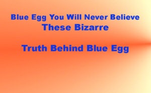 Blue Egg You Will Never Believe These Bizarre Truth Behind Blue Egg